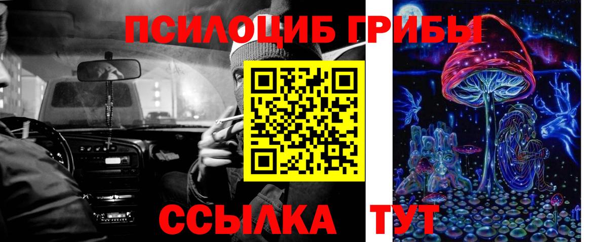 Галлюциногенные грибы прущие грибы Чехов