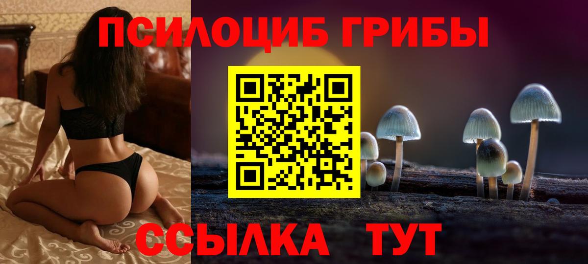 Галлюциногенные грибы мицелий  Псилоцибиновые грибы мухоморы  Чехов  Вход с VPN 